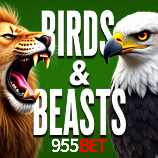 955Bet